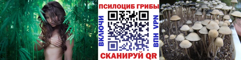 Галлюциногенные грибы Magic Shrooms  Горнозаводск 